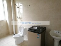 其它图