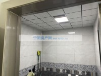 其它图