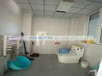 其它图